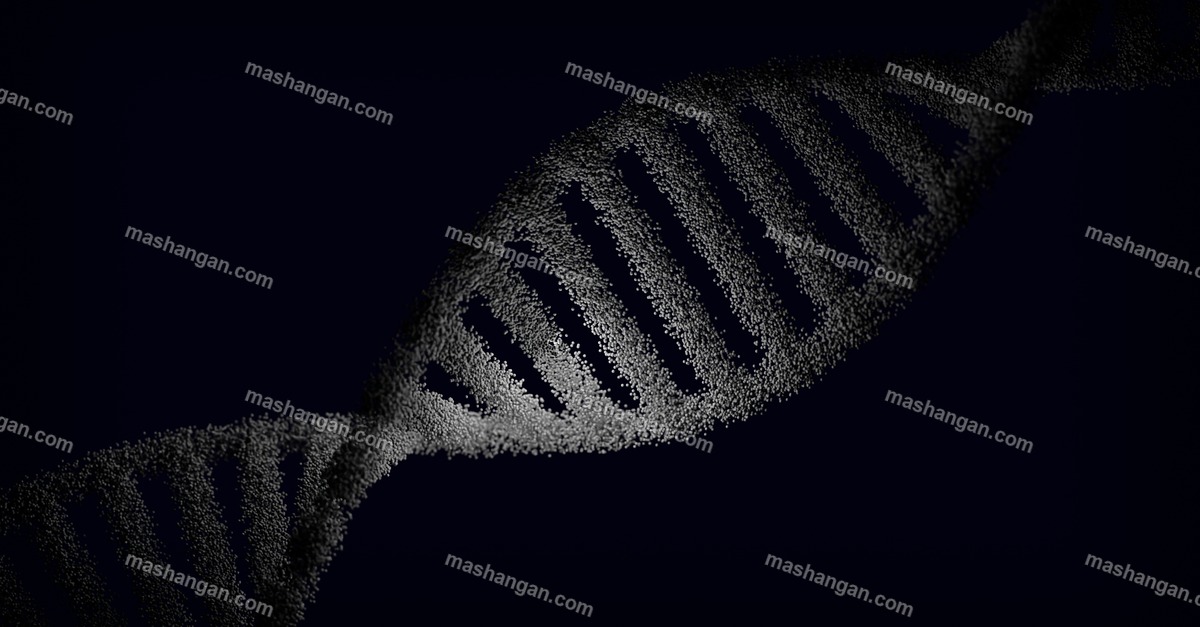 ch06:只认识电费的引擎——调度优化器的甘肃移植